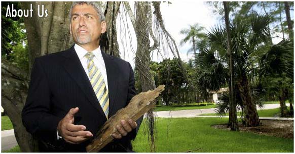 Tampa, Florida Termite Property Damage Claims Law