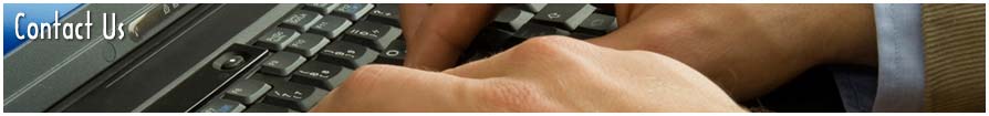 Contact Tampa, Florida Termite Attorney