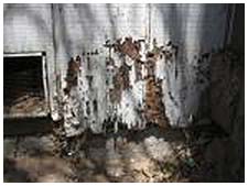 Tampa, Florida Termite Damage Denied Claims