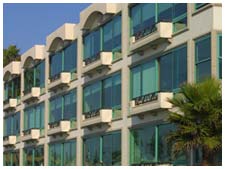 Tampa, Florida Termite Damage Denied Claims